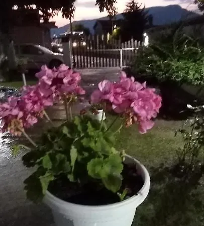 Sobe Lara Homestay Donji Milanovac