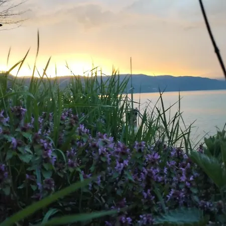 Sobe Lara Ubytování v soukromí Donji Milanovac